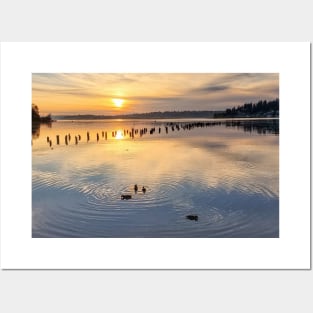 Peaceful Ducks at Golden Hour on Lake Washington Posters and Art